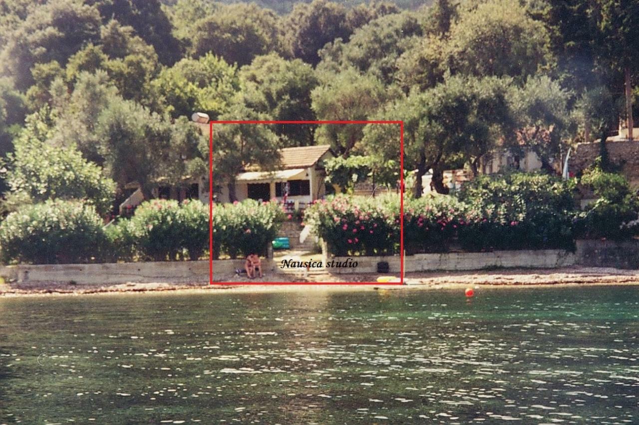 Studio Nausica... A Sense Of Paradise! Ajía Pelajía Hlomú Kültér fotó