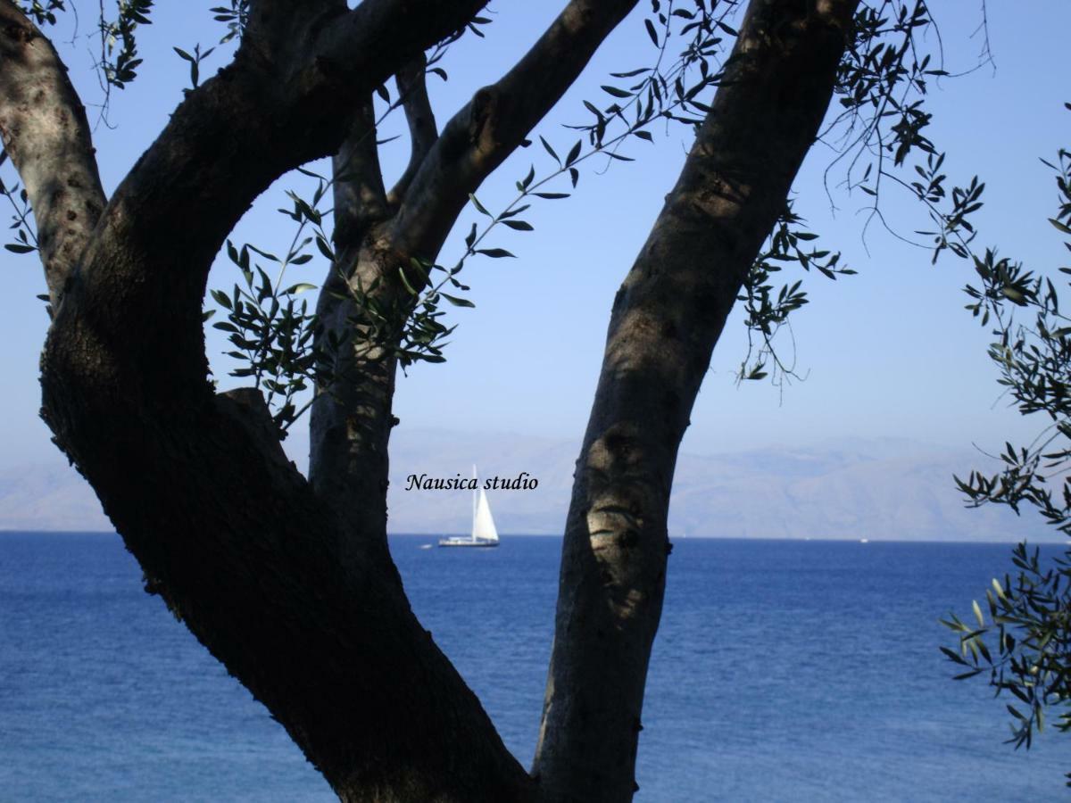 Studio Nausica... A Sense Of Paradise! Ajía Pelajía Hlomú Kültér fotó