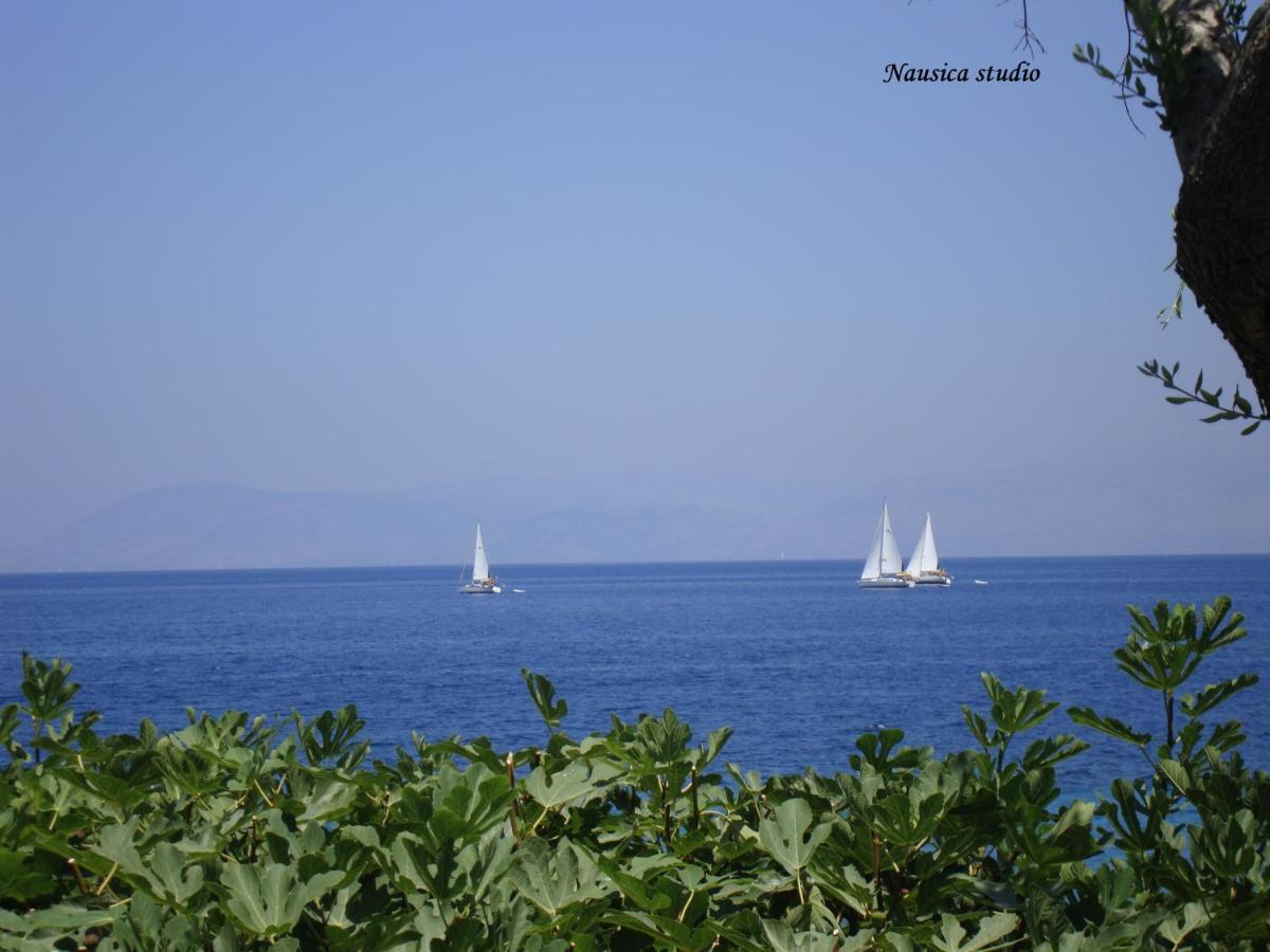 Studio Nausica... A Sense Of Paradise! Ajía Pelajía Hlomú Kültér fotó