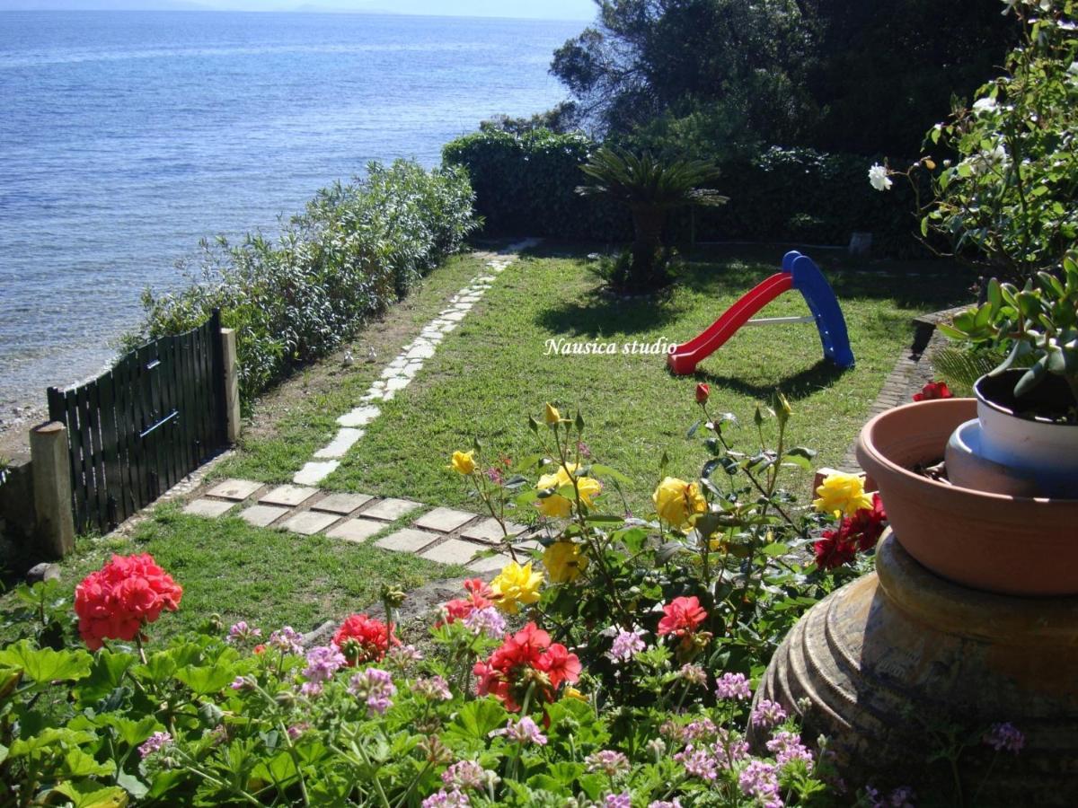 Studio Nausica... A Sense Of Paradise! Ajía Pelajía Hlomú Kültér fotó